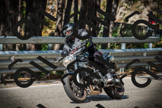 202507201010-DSC04822_c1_