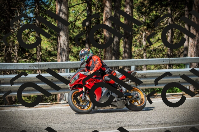 202507201010-DSC04824_c1_