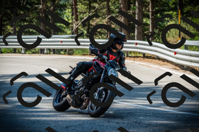 202507201011-DSC04828_c1_