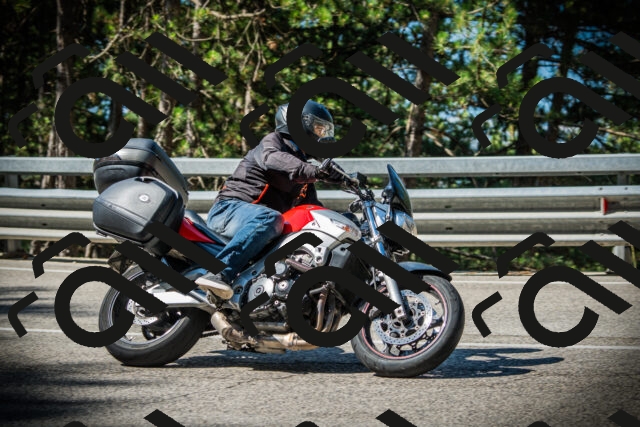 202507201011-DSC04842_c1_