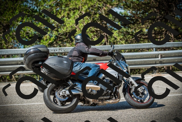 202507201011-DSC04843_c1_