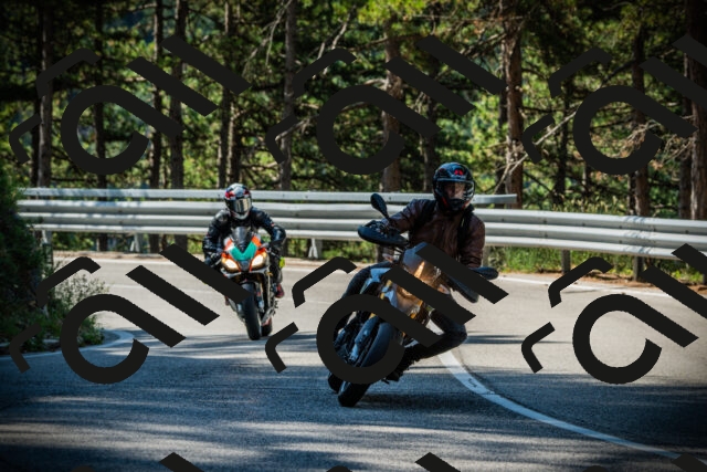 202507201011-DSC04850_c1_