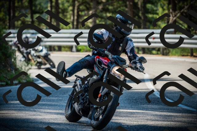 202507201011-DSC04859_c1_