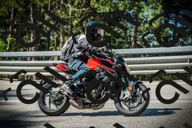 202507201011-DSC04860_c1_