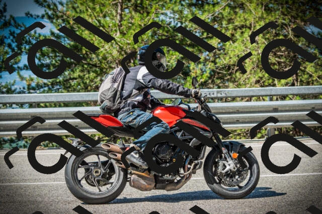 202507201011-DSC04861_c1_