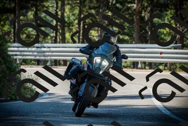 202507201012-DSC04872_c1_