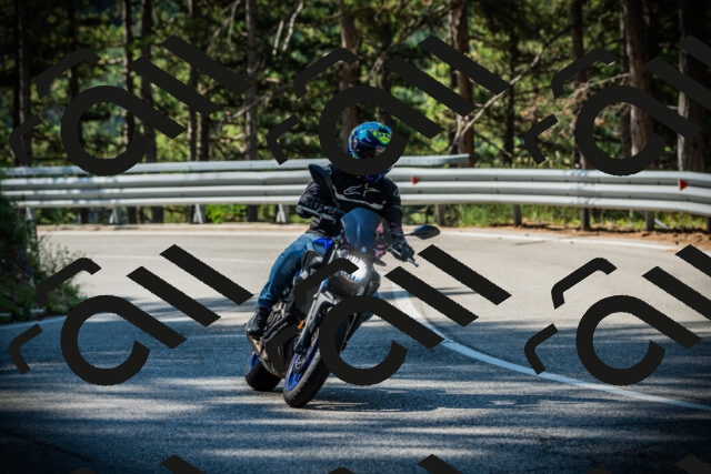 202507201012-DSC04878_c1_