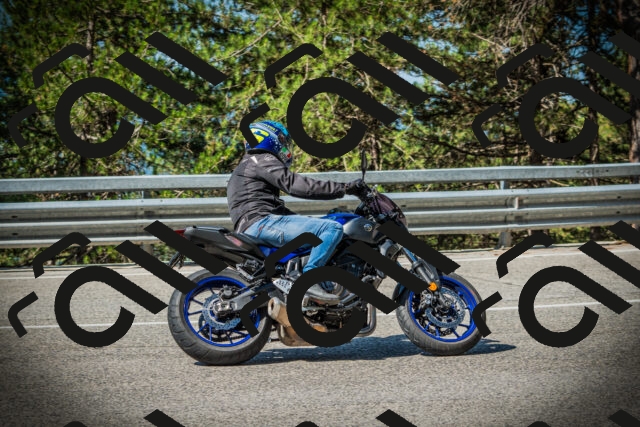 202507201012-DSC04880_c1_