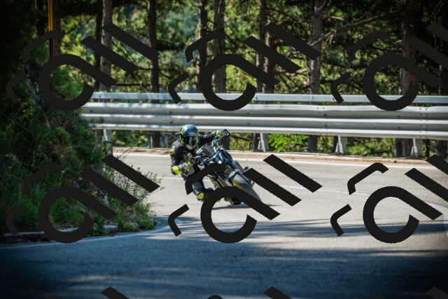 202507201013-DSC04881_c1_