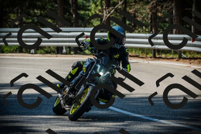 202507201013-DSC04884_c1_