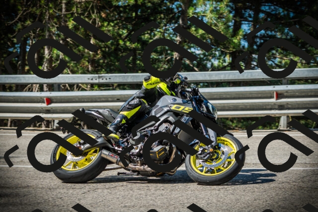 202507201013-DSC04885_c1_