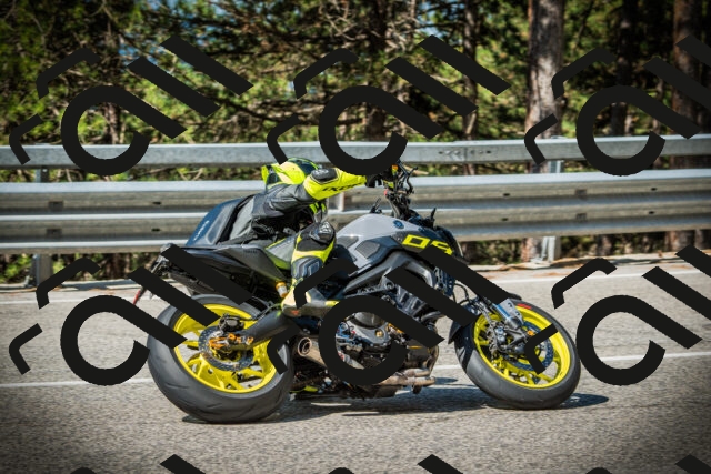 202507201013-DSC04886_c1_