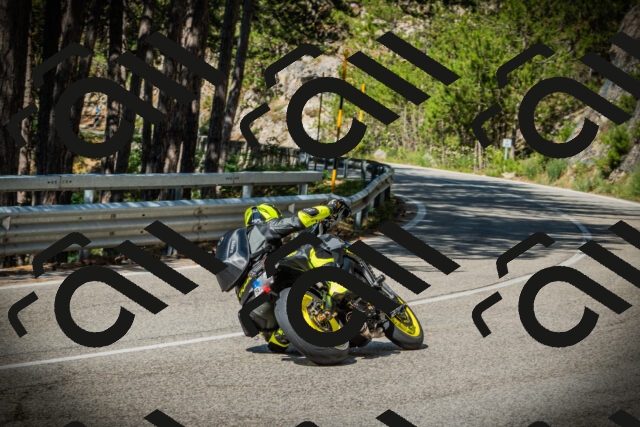 202507201013-DSC04887_c1_