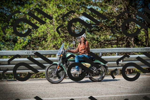 202507201013-DSC04894_c1_