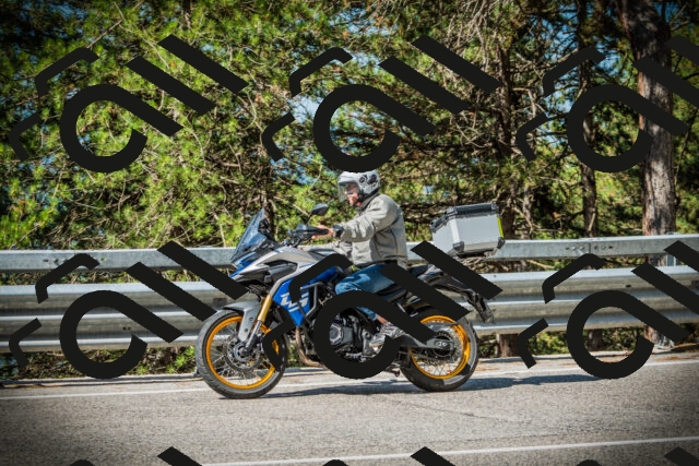 202507201013-DSC04895_c1_