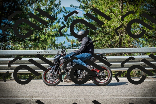 202507201013-DSC04899_c1_