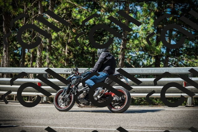 202507201013-DSC04900_c1_