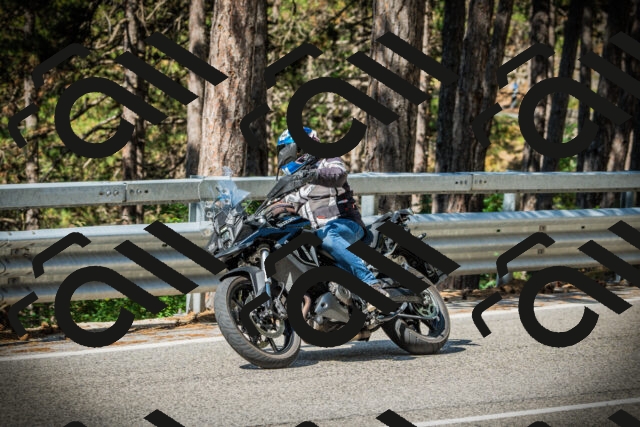 202507201013-DSC04903_c1_