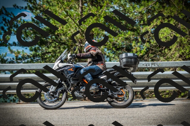 202507201013-DSC04906_c1_