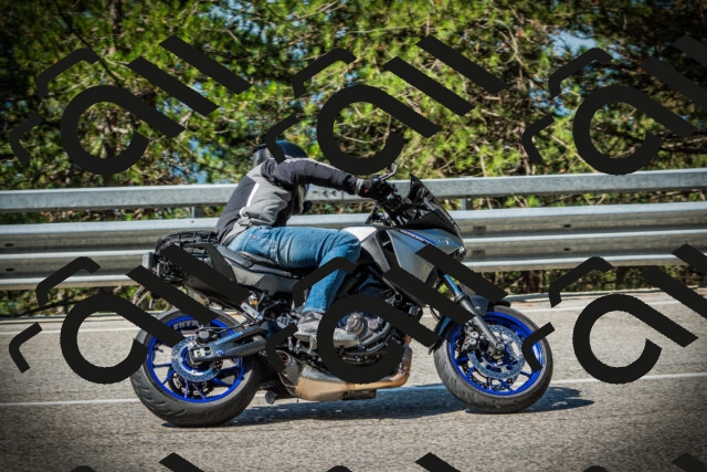 202507201013-DSC04907_c1_