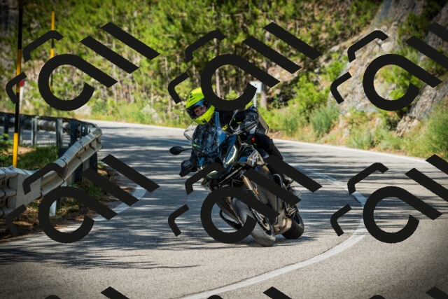 202507201015-DSC04912_c1_