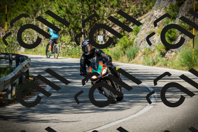 202507201018-DSC04935_c1_