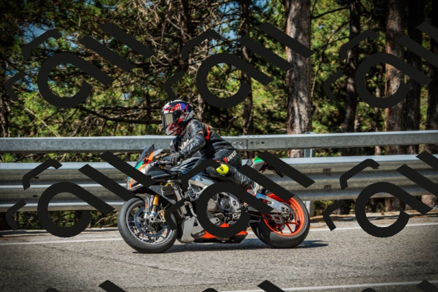 202507201018-DSC04937_c1_