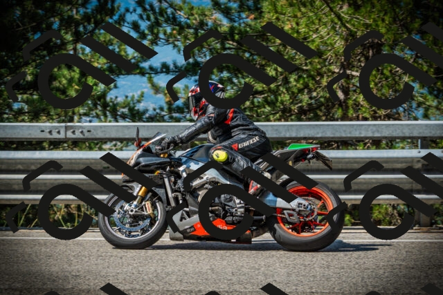 202507201018-DSC04938_c1_