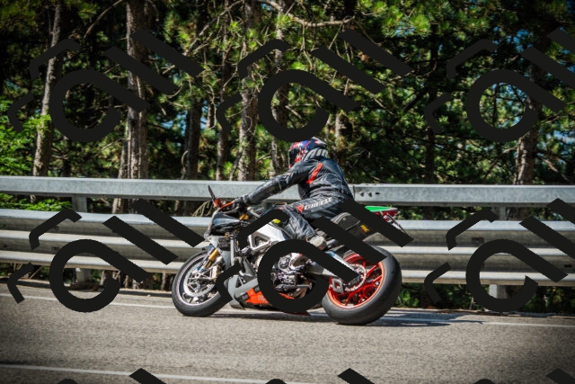 202507201018-DSC04939_c1_