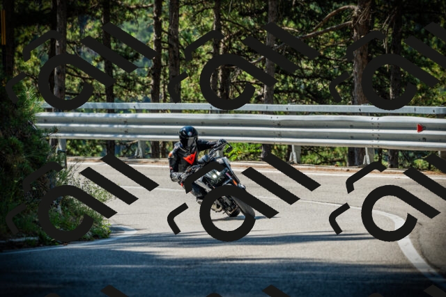 202507201019-DSC04940_c1_