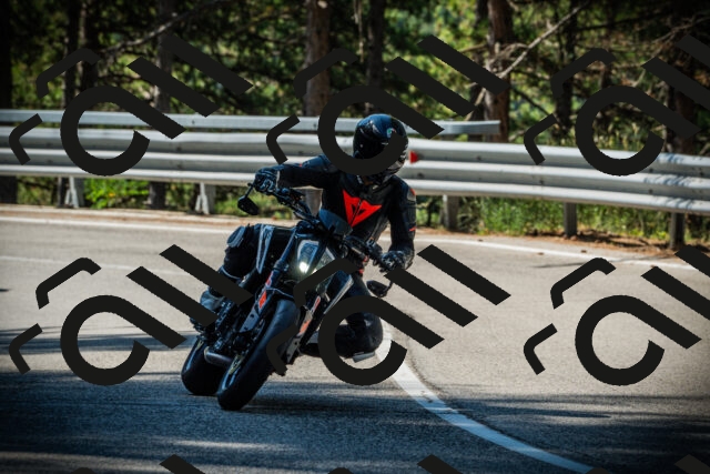 202507201019-DSC04942_c1_