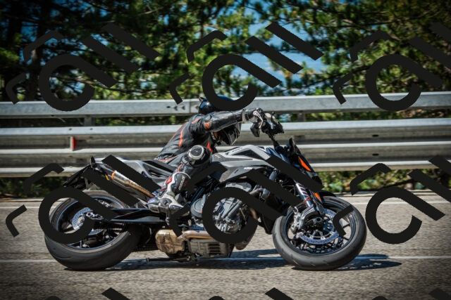 202507201019-DSC04944_c1_