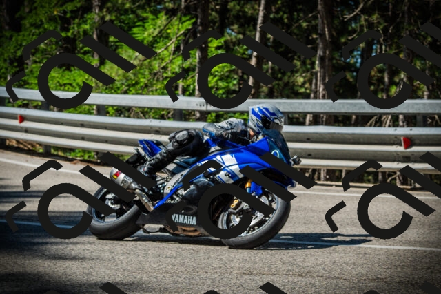 202507201019-DSC04945_c1_