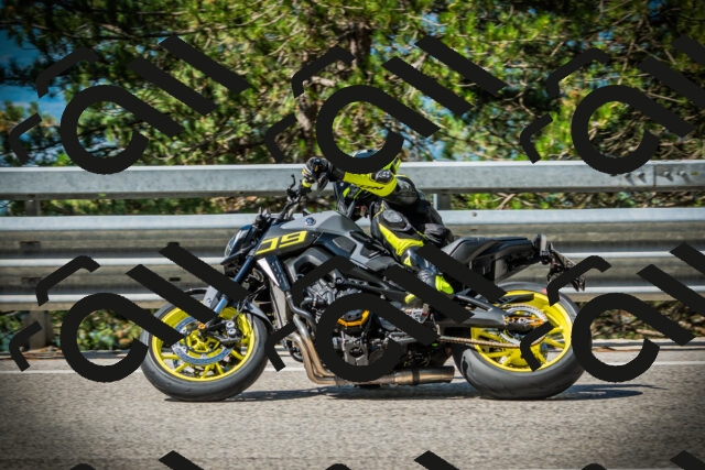 202507201019-DSC04953_c1_