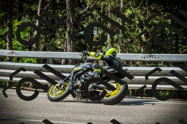 202507201019-DSC04954_c1_