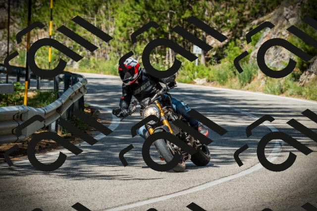 202507201020-DSC04956_c1_