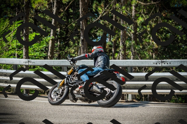 202507201020-DSC04959_c1_