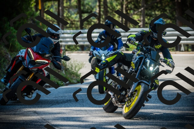 202507201021-DSC04960_c1_