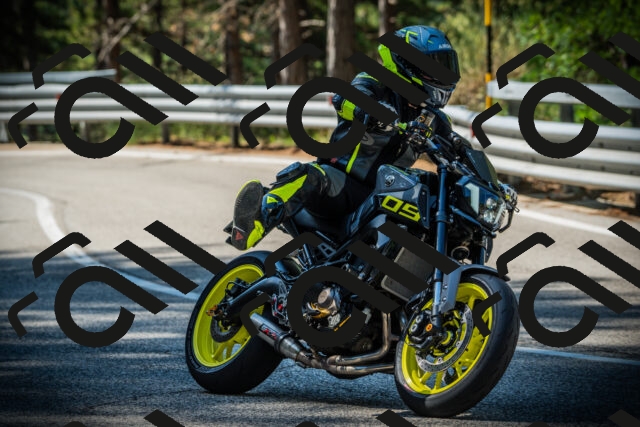 202507201021-DSC04961_c1_