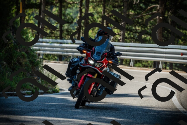 202507201022-DSC04979_c1_