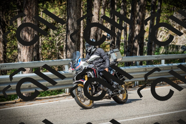 202507201024-DSC04997_c1_