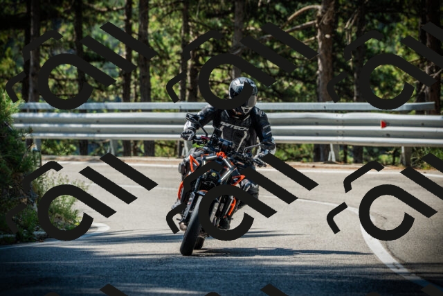 202507201024-DSC05000_c1_