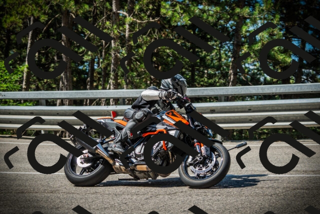 202507201024-DSC05002_c1_