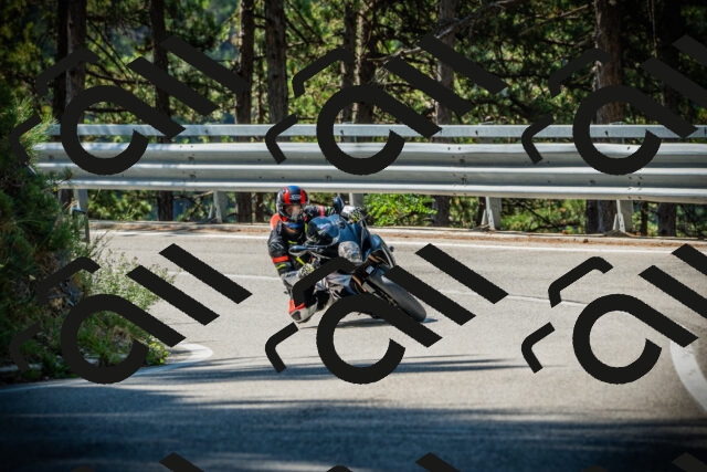 202507201025-DSC05005_c1_