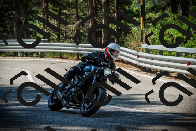 202507201025-DSC05013_c1_