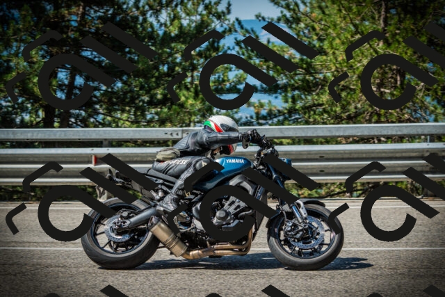 202507201025-DSC05014_c1_