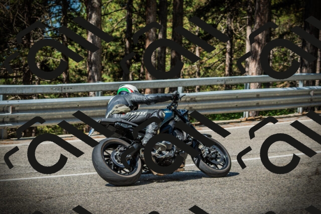 202507201025-DSC05015_c1_