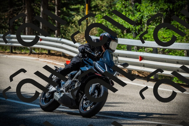 202507201025-DSC05020_c1_