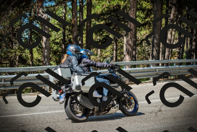 202507201026-DSC05030_c1_