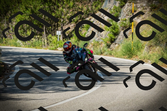 202507201027-DSC05034_c1_